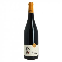 Vin Rouge Fruité Terra Iconial du Beaujolais