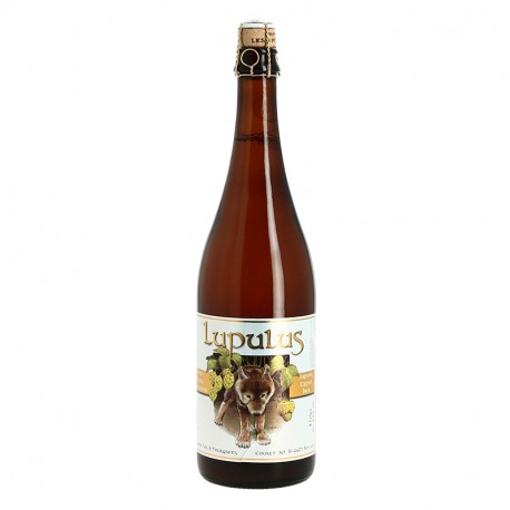 LUPULUS Bière Belge Blonde Triple 75 cl