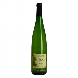 Muscat d'Alsace Vin blanc Biologique par Philippe Heitz