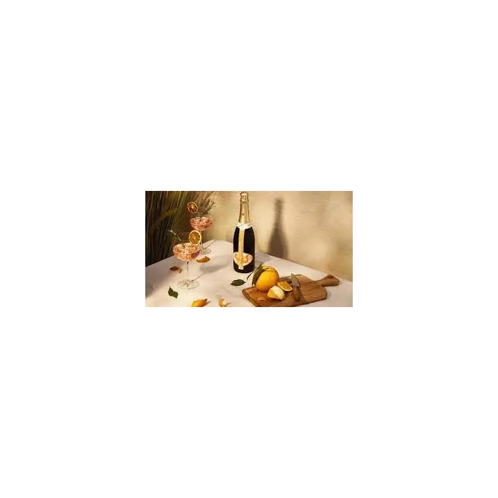 achat de CHANDON Garden SPRITZ 75 cl. Un spritz toujours réussi