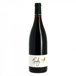 Reuilly Rouge 2020 DYCKERHOFF Vin rouge de la Loire 75 cl