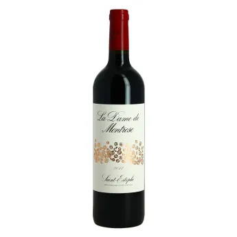 Acheter Dame De Montrose 2017 Saint Estèphe 75cl Bordeaux Second vin