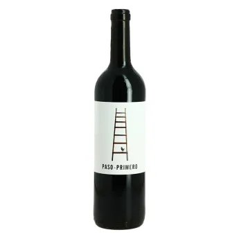 achat vin espagnol Paso Primero Tinto D.O Somontano vin rouge 75 cl