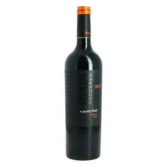 acheter vin argentin Punto Final Malbec vin rouge d'Argentine 75 cl