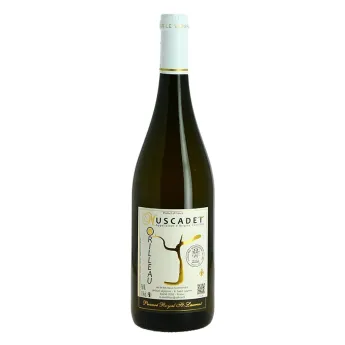 achat de vin blanc MUSCADETpar Michel Morilleau 75 cl