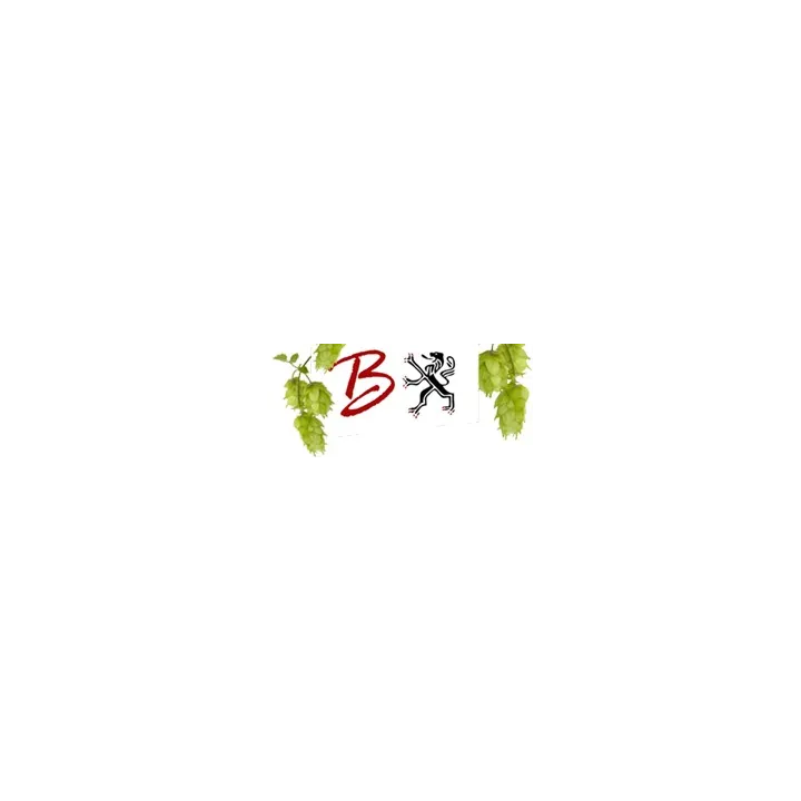 Bracine Bière Triple Artisanale 75 cl