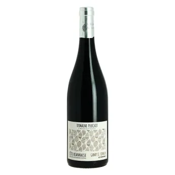 achat vin gamay côte roannaise Domaine PLUCHOT Le Retour aux Sources