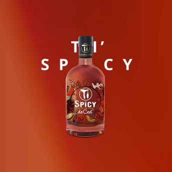 achat TI SPICY Spiced Rum by CED 70 cl