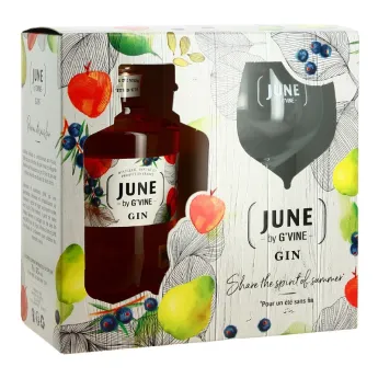 acheter Coffret JUNE G'Vine Liqueur de Gin à la Pêche de Vigne  Verre Piscine