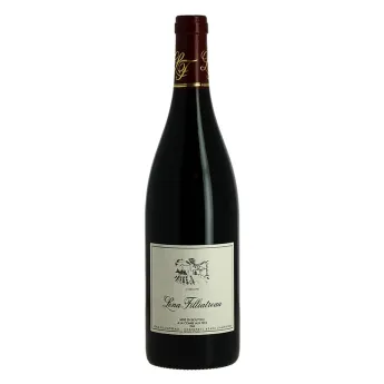 acheter Léna FILLIATREAU Saumur Champigny 75 cl