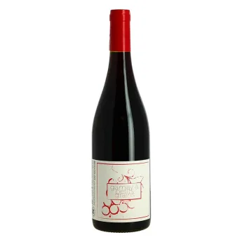 achat de vin Gamay à Petits Grains Beaujolais Villages