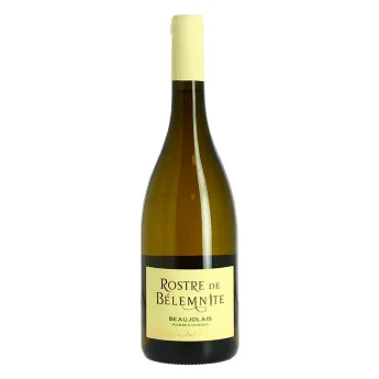 Beaujolais Blanc ROSTRE de BELEMNITE 2021 chardonnay de bourgogne