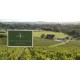 Chablis Grenouille Grand Cru 2020 par La Chablisienne Vin de Bourgogne Blanc 75 cl