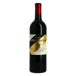 image du vin Château Latour Matillac Pessac Léognan Vin de Bordeaux