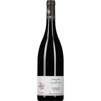 Vin rouge Bio de la Loire Domaine de La BUTTE BOURGUEIL Mi-Pente 2021