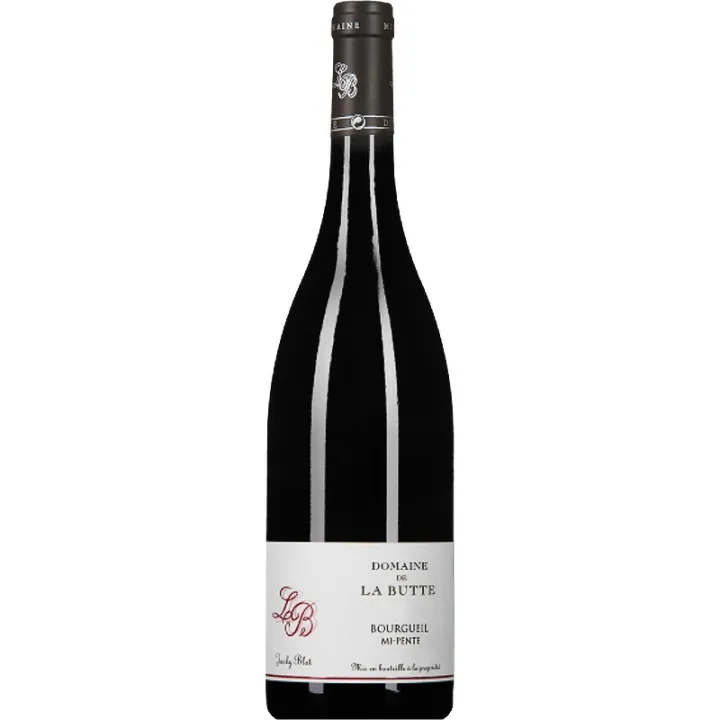 Vin rouge Bio de la Loire Domaine de La BUTTE BOURGUEIL Mi-Pente 2021