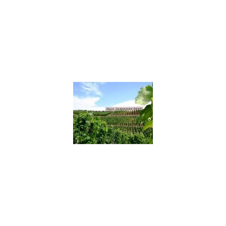 Domaine de Thalabert  Crozes hermitage rouge vins jaboulet Ainé