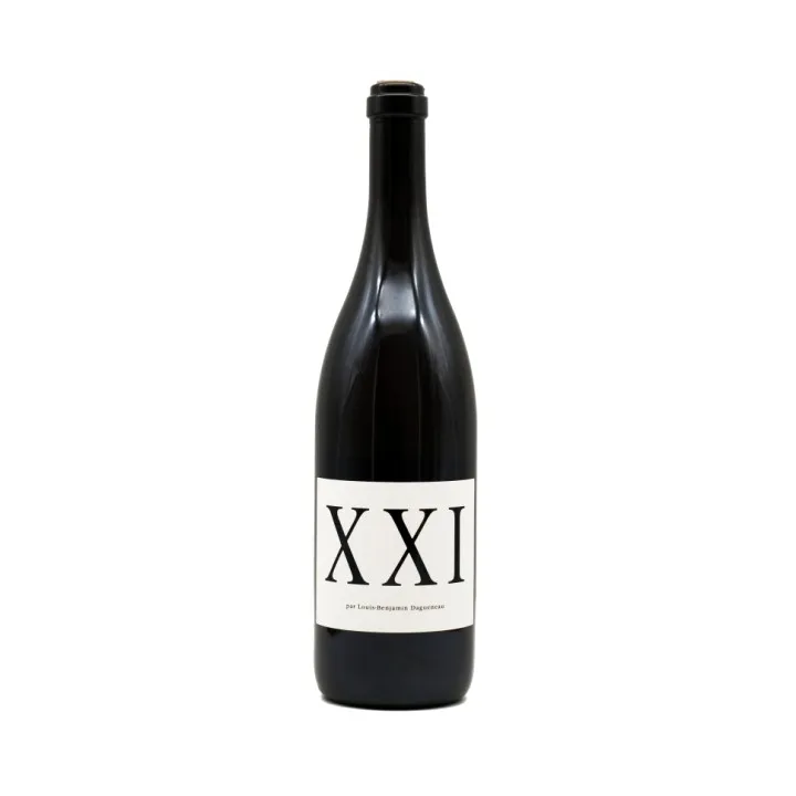 DAGUENEAU Cuvée XXI Vin de France Blanc 2021 75 cl