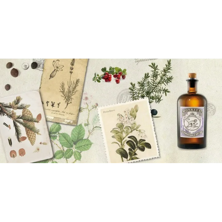 achat de gin MONKEY 47 SCHWARZWALD GIN 50 CL