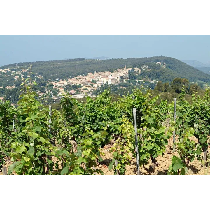 Domaine Tempier Cuvée CABASSAOU 2022 BANDOL Rouge 75 cl