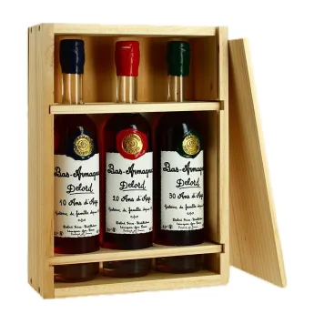 Acheter COFFRET DECOUVERTE 3X20CL BAS ARMAGNAC DELORD 10 ans, 20 ans, 30 ans