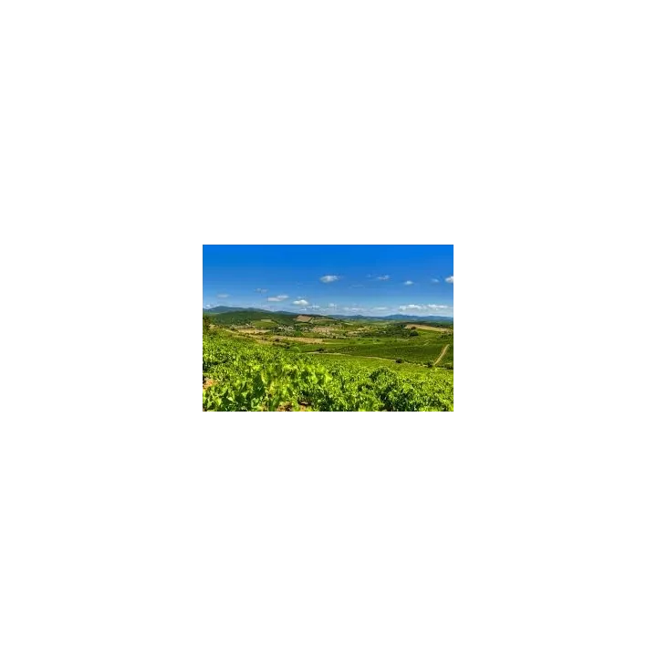 achat vin rouge BIO Château ESTANILLES Sous Les Rocs Faugères
