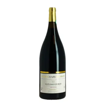Acheter Magnum Vin Rouge Grand vin de Bourgogne Jean-Charles Rion Nuit-Saints-Georges AOC Vieilles vignes