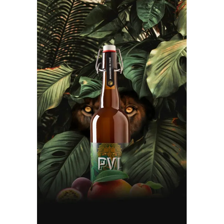achat Brasserie PVL Bière IMPERIAL SOUR en PEVELE 75 cl