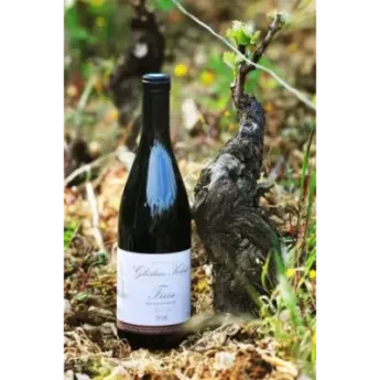 Acheter Vieilles Vignes Fixin Kohut 2022