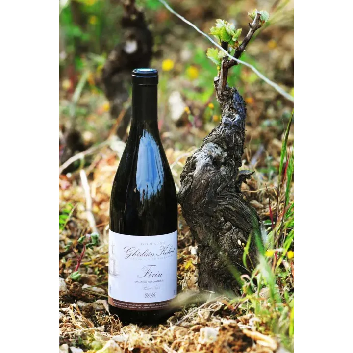 Acheter Vieilles Vignes Fixin Kohut 2022