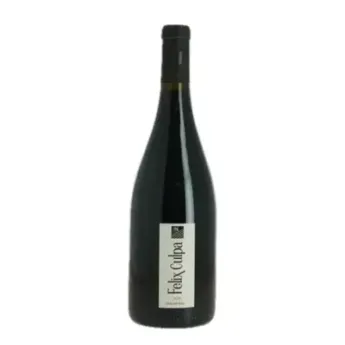 Saint Chinian 2019 par Félix Culpa vin biologique pas chère
