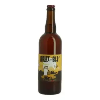 Bière BRUT de BIJ ZZZ 75 cl Bière Blonde Cuivrée au Miel Brasserie de Katsbier