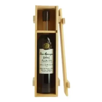 Bas ARMAGNAC DELORD récolte 2014 70 cl