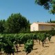 BANDOL Domaine TEMPIER Vin Blanc de Provence