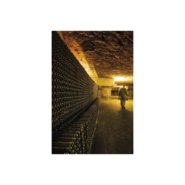 Acheter CREMANT DE BOURGOGNE BAILLY Lapierre RESERVE