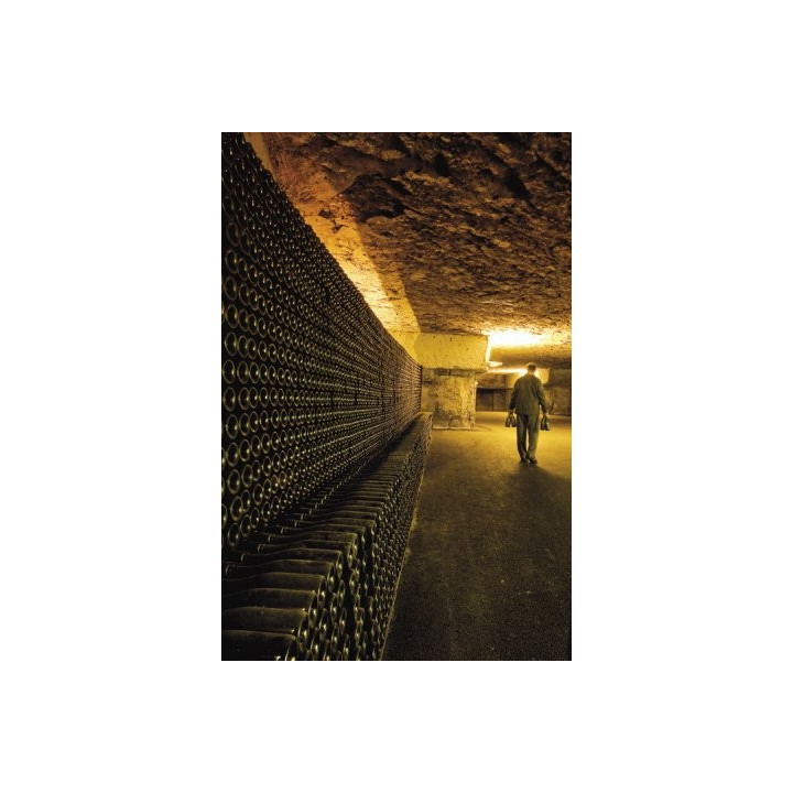 CREMANT DE BOURGOGNE BAILLY Lapierre 100% CHARDONNAY