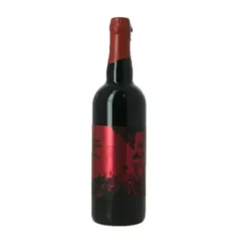 BIERE HADES IMPERIAL STOUT 11° 75 cl Brasserie Chromatique