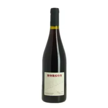 Morgon par Jean Paul Brun Vin Rouge du Beaujolais du Domaine des Terres Dorées