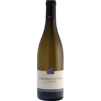 Domaine Bertrand Bachelet – Maranges 1er Cru Blanc 2024