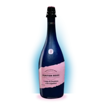 Bière Punition Rosé Magnum DB 6° Bière Blonde Fruitée Ale