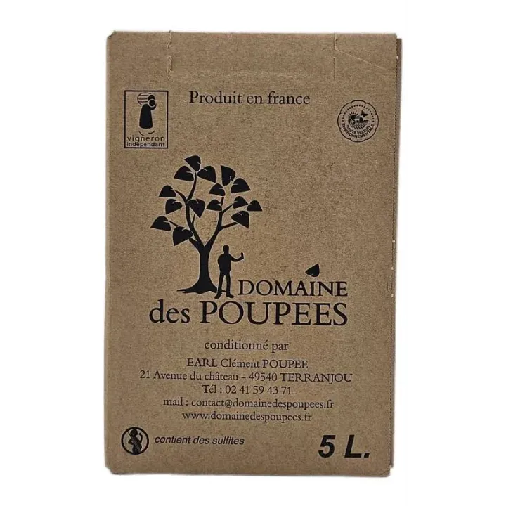 Cabernet d’Anjou 5L Domaine des Poupeés – Un Rosé Fruité et Convivial pour Vos Soirées