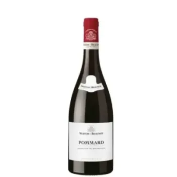 Pommard 2023 Nuiton-Beaunoy vin rouge Bourgogne