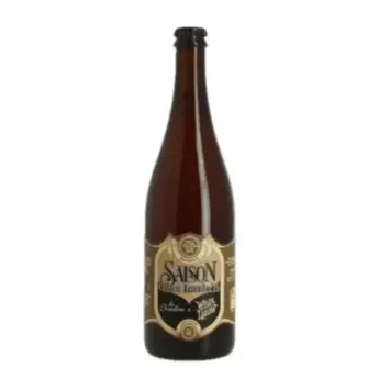Bière Wilde Leeuw Saison Brett Framboise – Artisanale & Fruitée