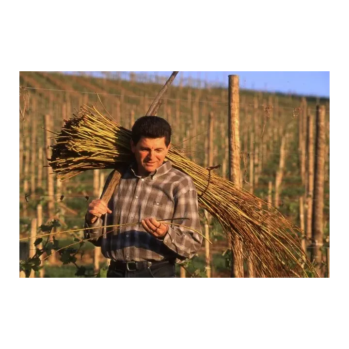 CHANT DES VIGNES JURANCON SEC DOMAINE CAUHAPE PAR HENRI RAMONTEU