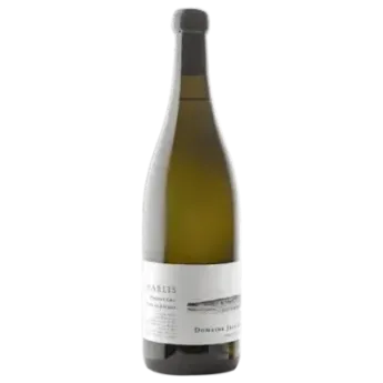 Chablis 1er Cru Côte de Léchet 2023 Domaine Jean Dauvissat