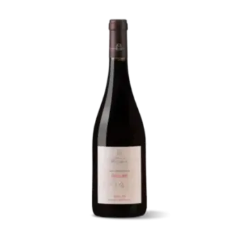 Bourgueil Rouge Bio Château de Minière 2022 100 % Cabernet Franc