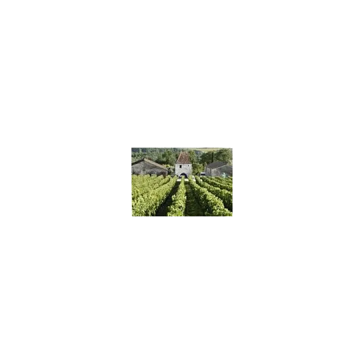 BERGERAC ROUGE CUVEE LA VIGNE D'ALBERT TOUR DES GENDRES  75 cl