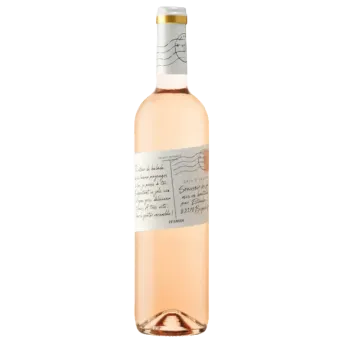 Acheter ROSE D'ARGENS SOUVENIR DU VAR MAGNUM