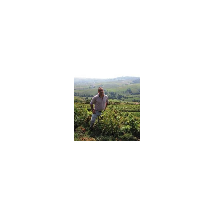 achat de Beaujolais Villages Hestrange vin rouge cépage gamay
