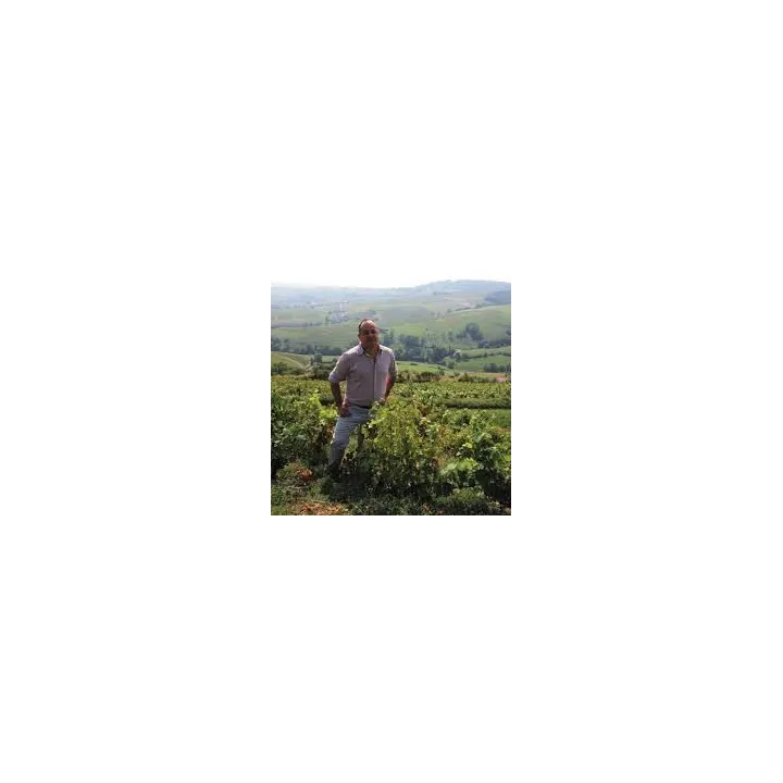 achat de Bourgogne Blanc Chardonnay du CHATEAU de l 'HESTRANGE
